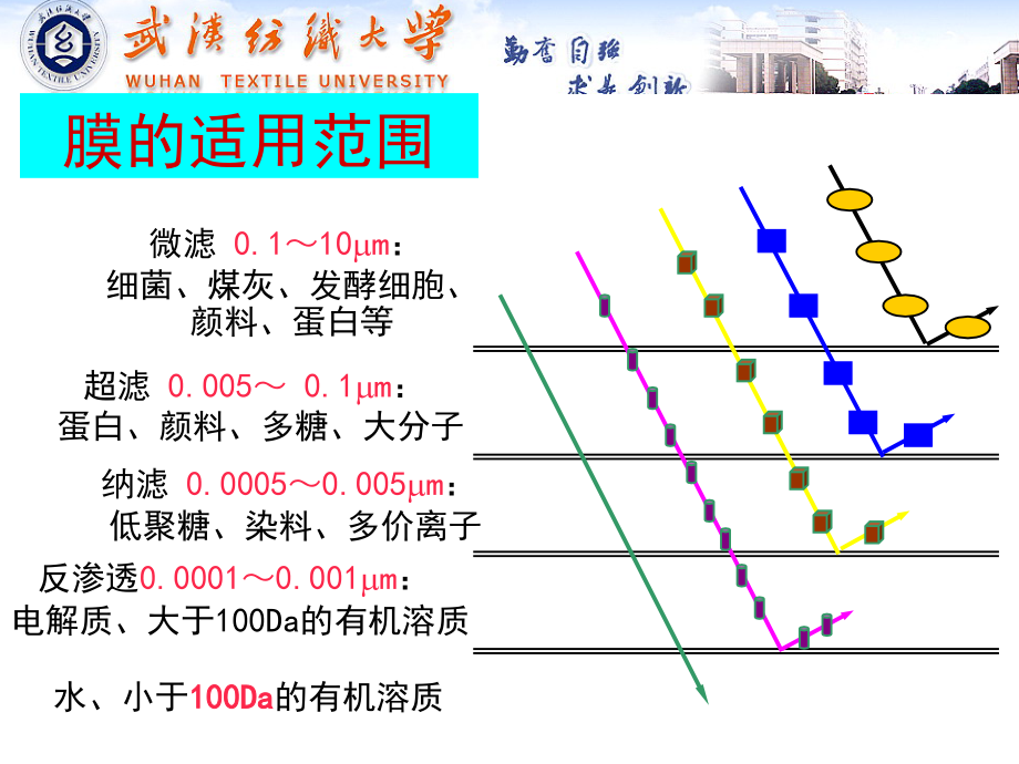 第11章结晶与膜分离(天大版)环城学院_第4页