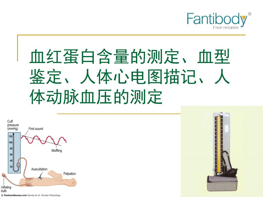 图解人体血型鉴定心电图描记动脉血压测定等课题教学提纲_第1页