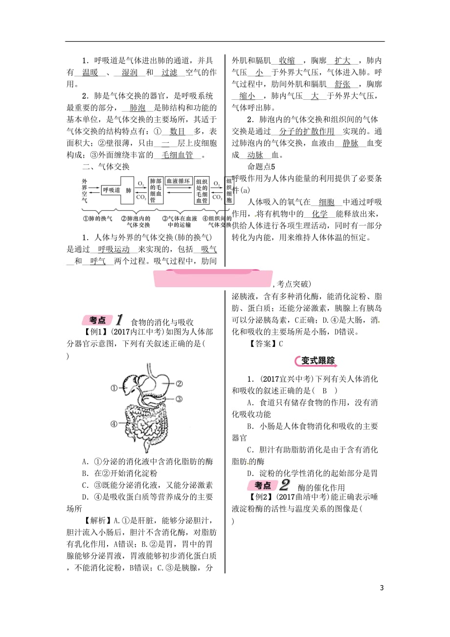 浙江省中考科学复习第1部分生命科学第6课时人体的物质和能量转换(消化和呼吸)（精讲）试题_第3页