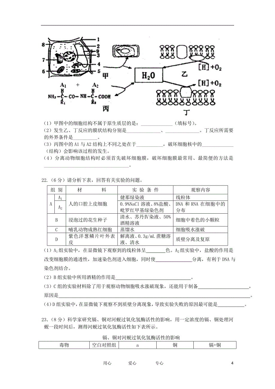 安徽省凤阳艺荣高考复读学校2013届高三生物第二次月考试题新人教版.doc_第4页