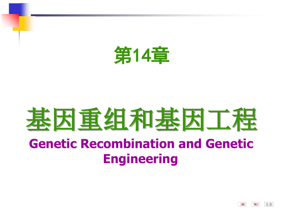 第14章基因重组和基因工程课件_第1页