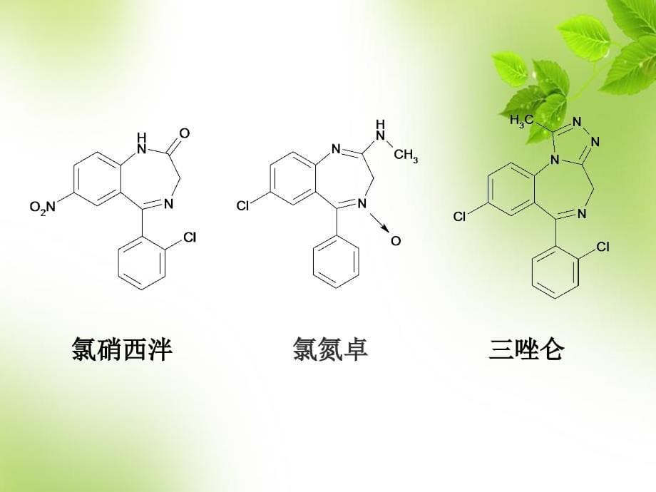 苯并二氮杂卓类药物的分析76749.ppt_第5页