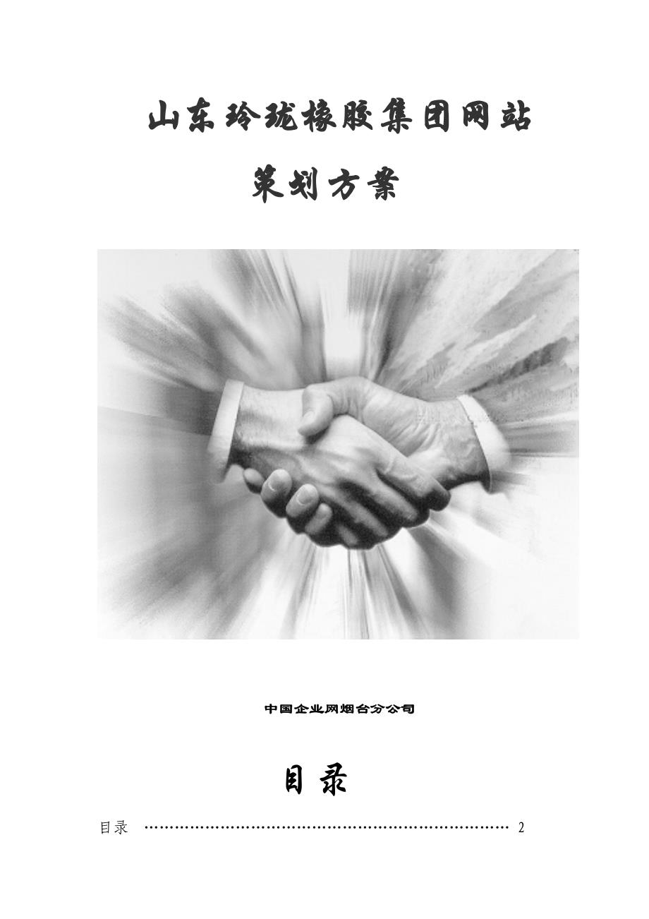 管理信息化中国企业网山东玲珑橡胶集团网站策划方案_第1页