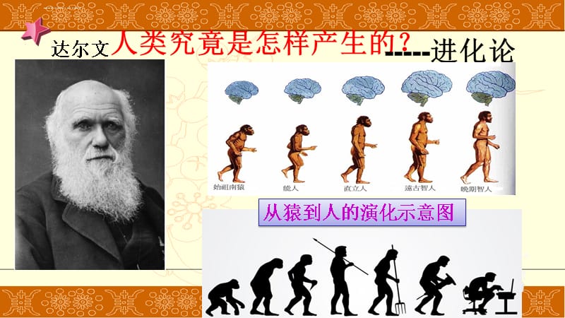 第1课 中国早期人类的代表―北京人 课件(2016版)_第4页