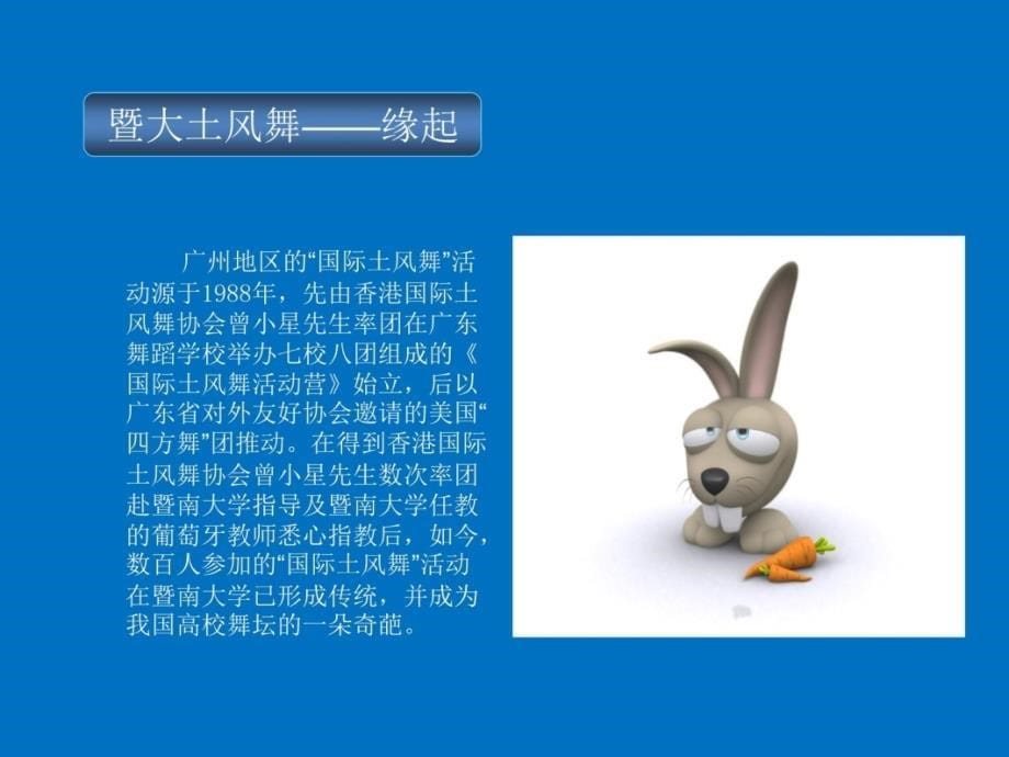 兔子吉祥教学文案_第5页