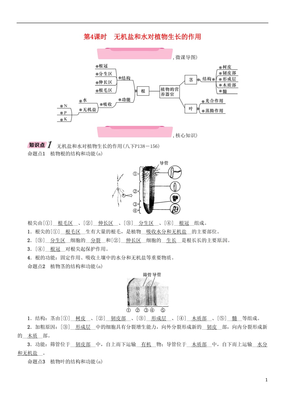 浙江省中考科学复习第1部分生命科学第4课时无机盐和水对植物生长的作用（精讲）试题_第1页