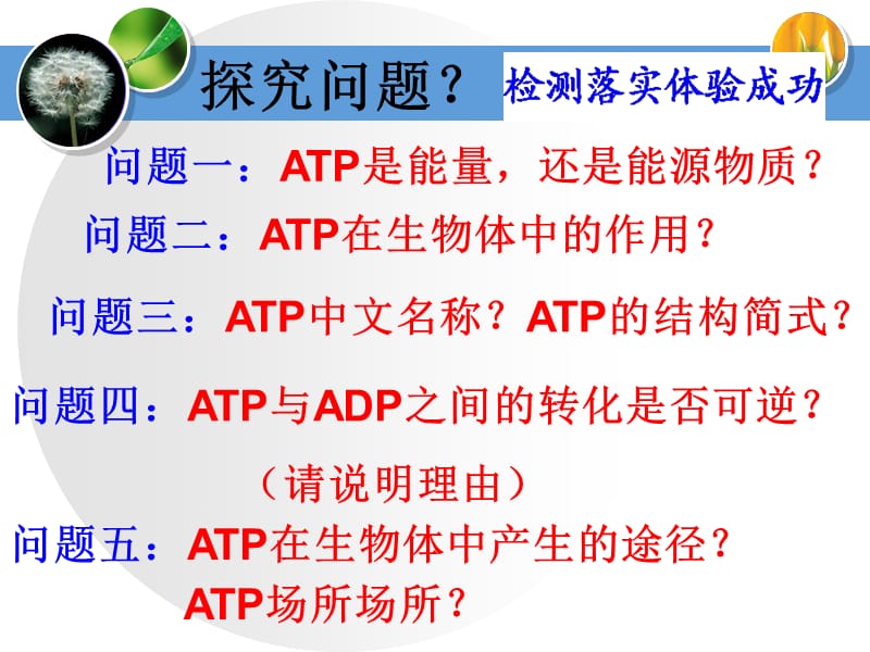 有关ATP结构的会考复习课件学习资料_第2页