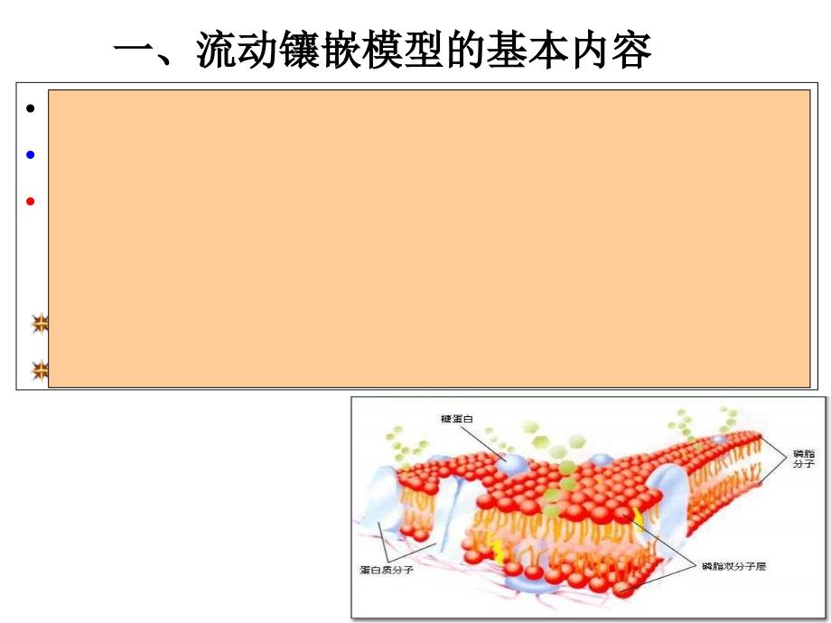 物质进出细胞的方式-pyl教案资料_第2页