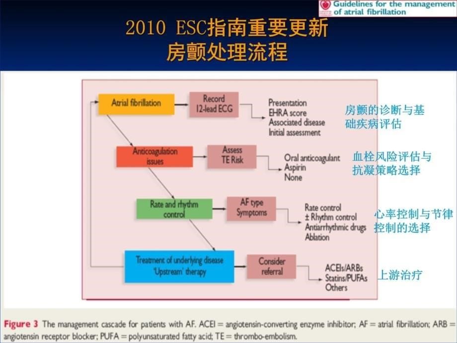 心律失常治疗理念的新转变教学教材_第5页