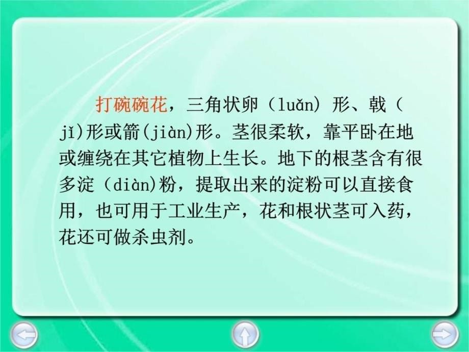 浙江版三年级下册打碗碗花课件3讲课教案_第5页