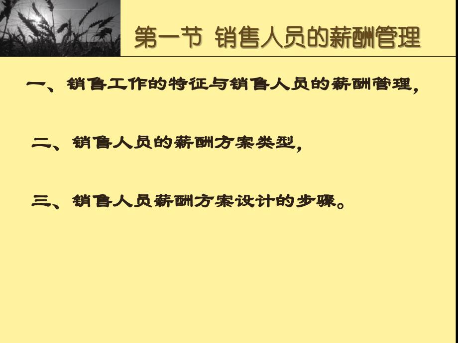 第九章 特殊员工群体的薪酬_第4页