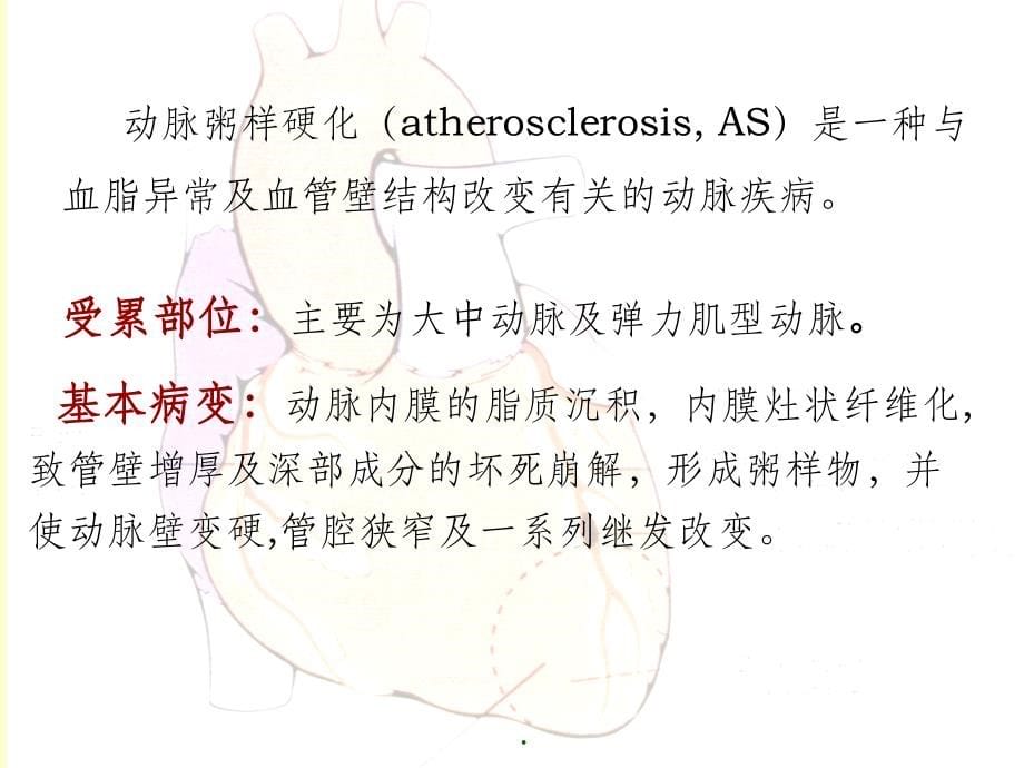 病理学(第八版)最新心血管系统疾病ppt课件_第5页