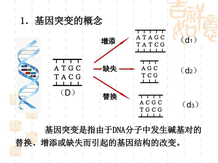 专题五变异育种教学提纲_第5页