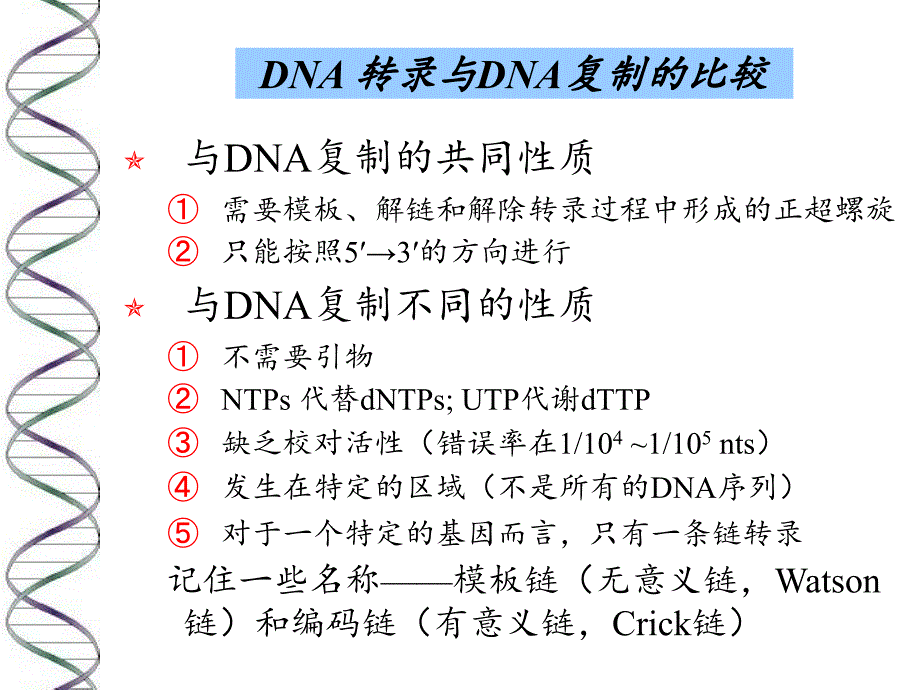 第三十六章 DNA转录_第4页