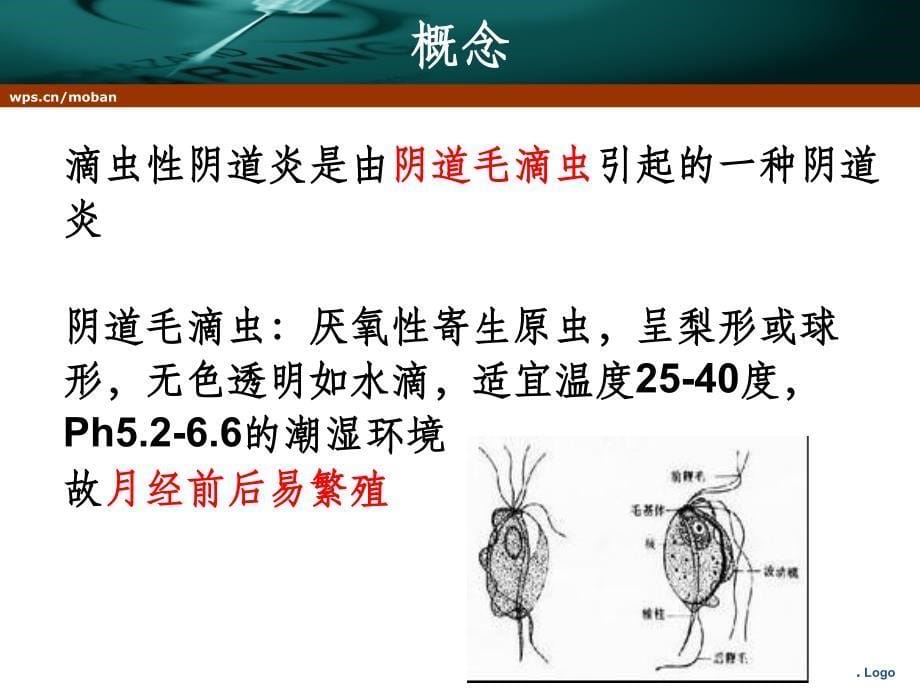 阴道炎患者的健康教育ppt课件_第5页