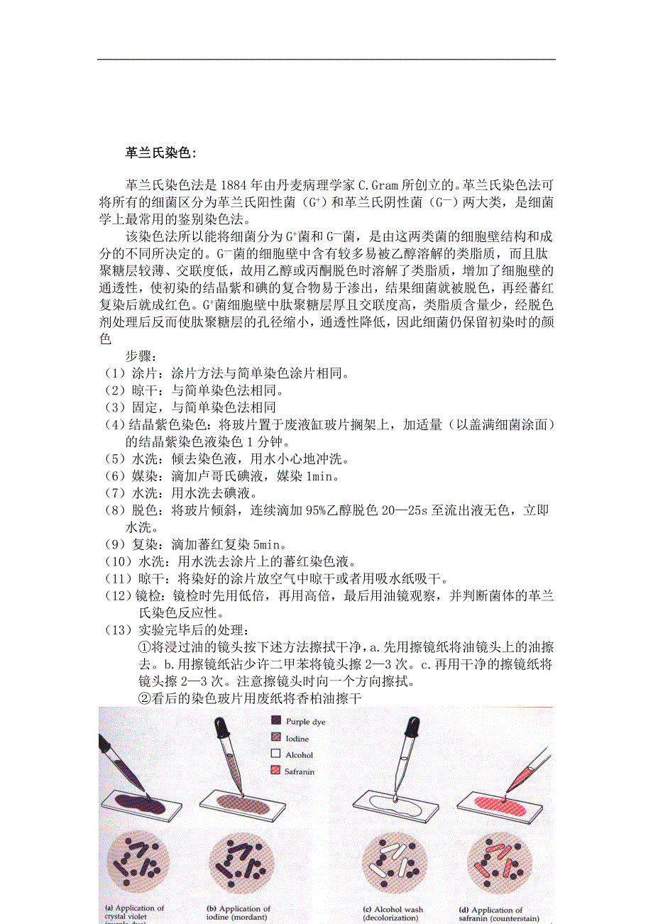 (生物科技)微生物常规鉴定技术_第3页