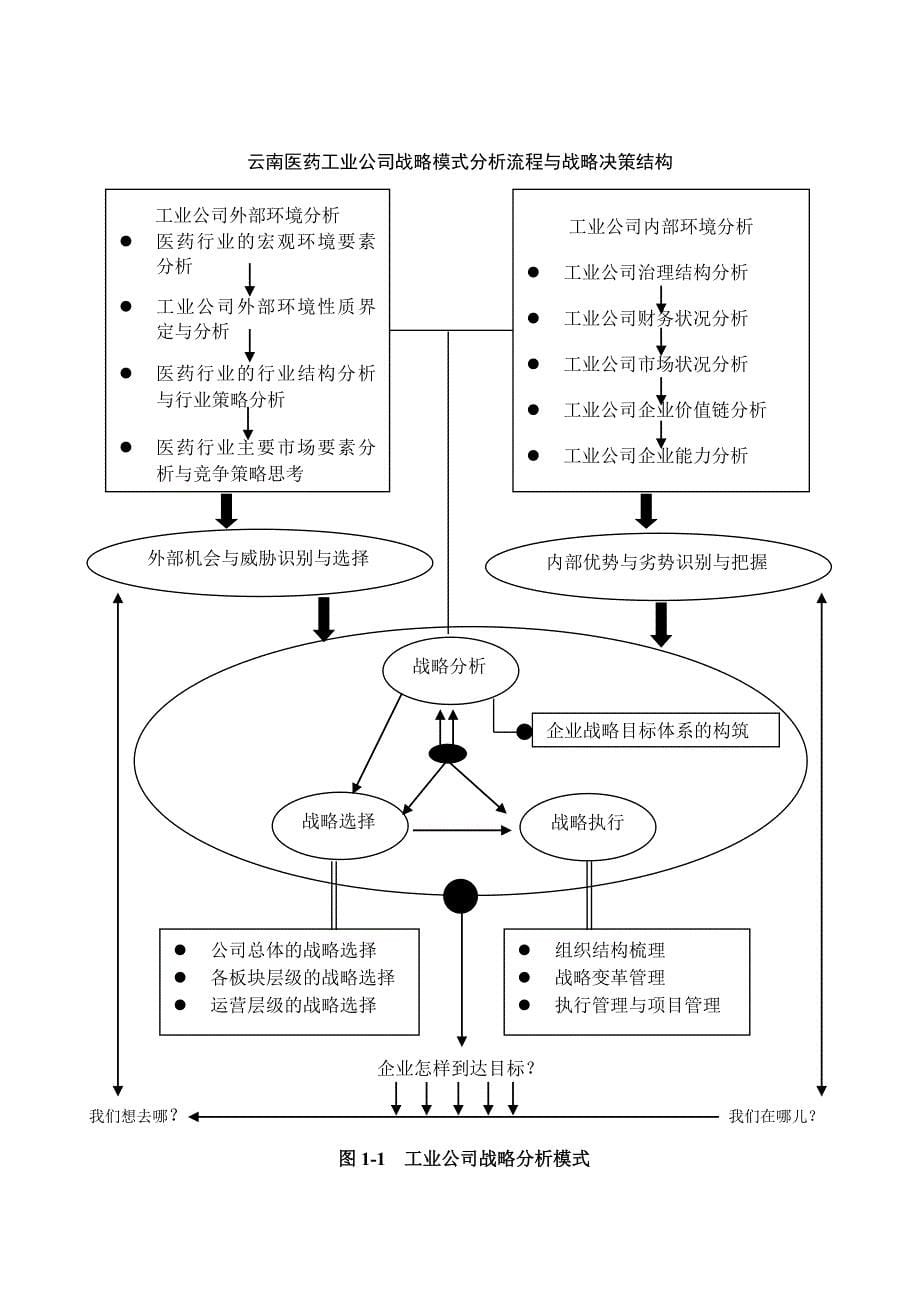 (医疗药品管理)云南医药工业公司经营战略研究_第5页