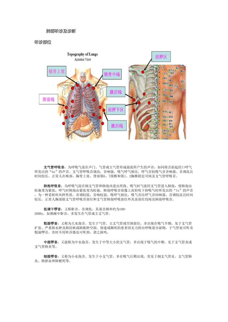 肺部听诊及诊断.doc_第1页