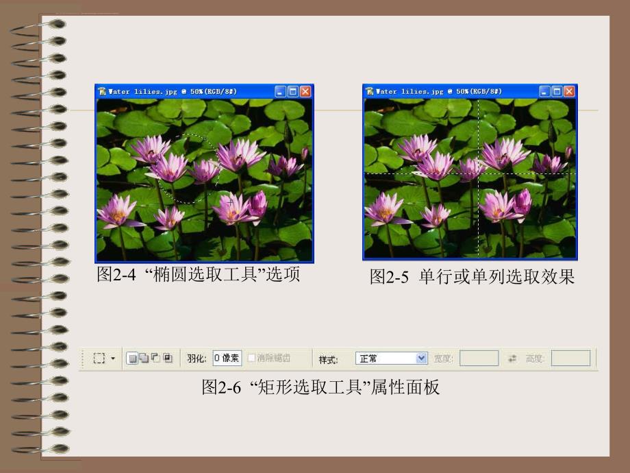 第2课 Photoshop CS的工具箱_第4页