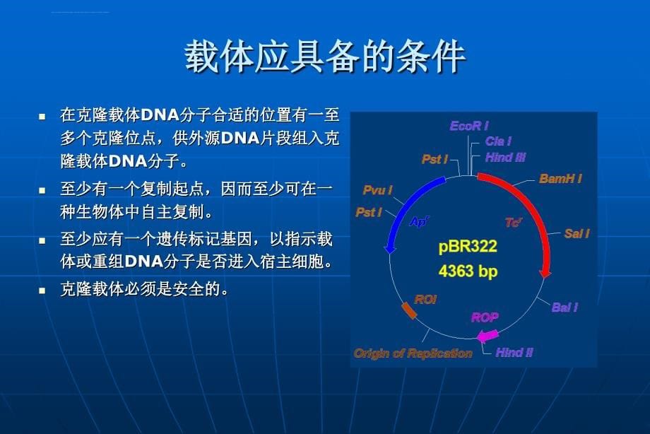 第三章 基因工程载体_第5页