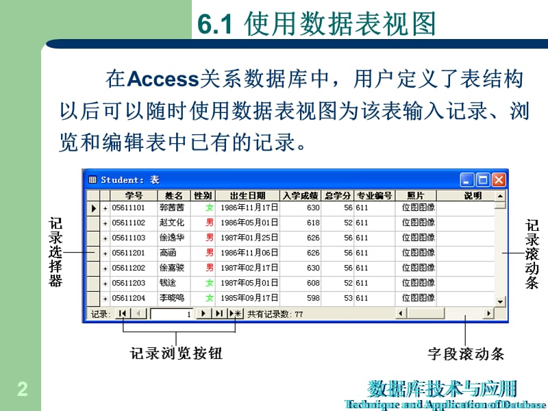 第6章使用数据表视图教学提纲_第2页