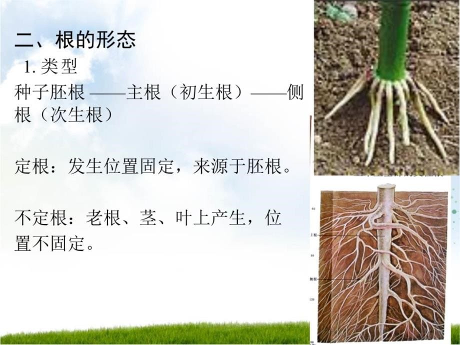 3 软土地基处理技术教学内容_第5页