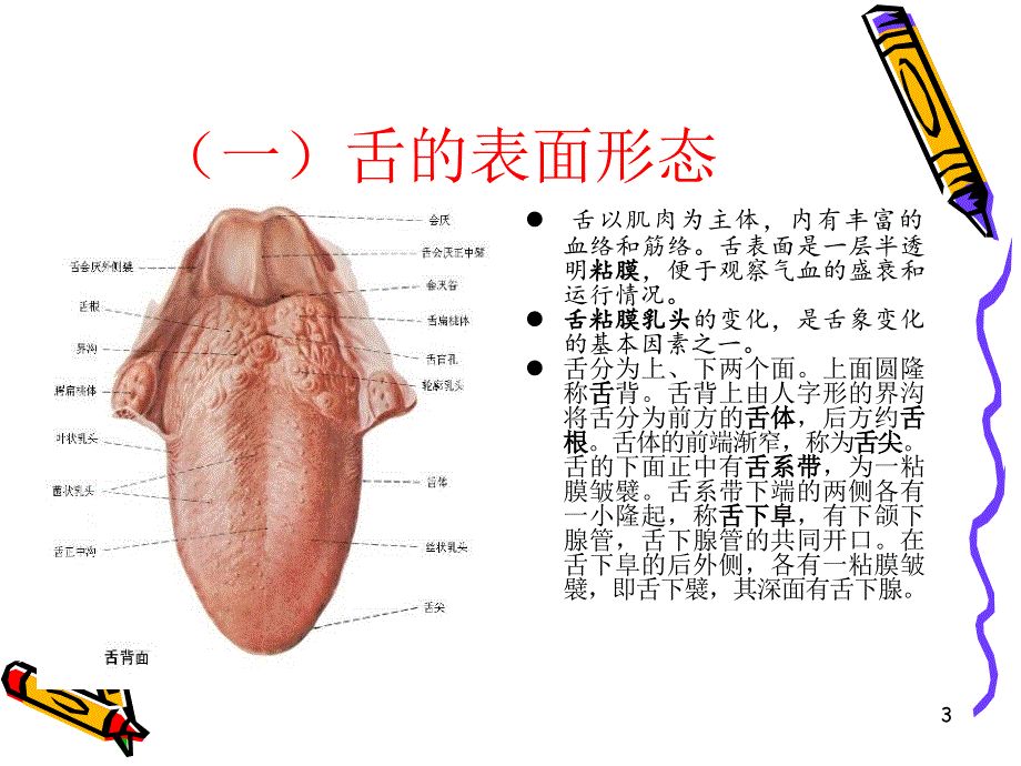 舌质与舌苔变化不一致_第3页