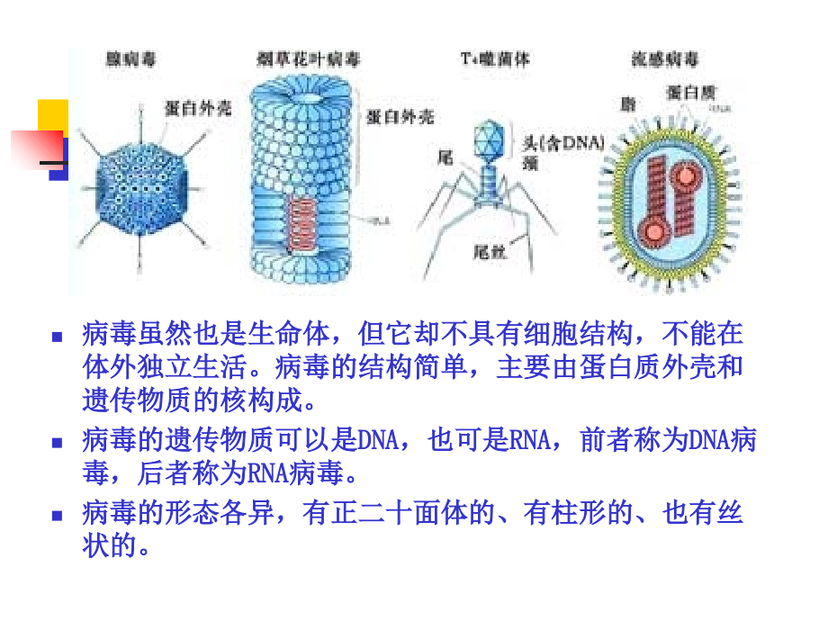 称为膜的不对称性 - 化学与材料工程学院学习资料_第3页