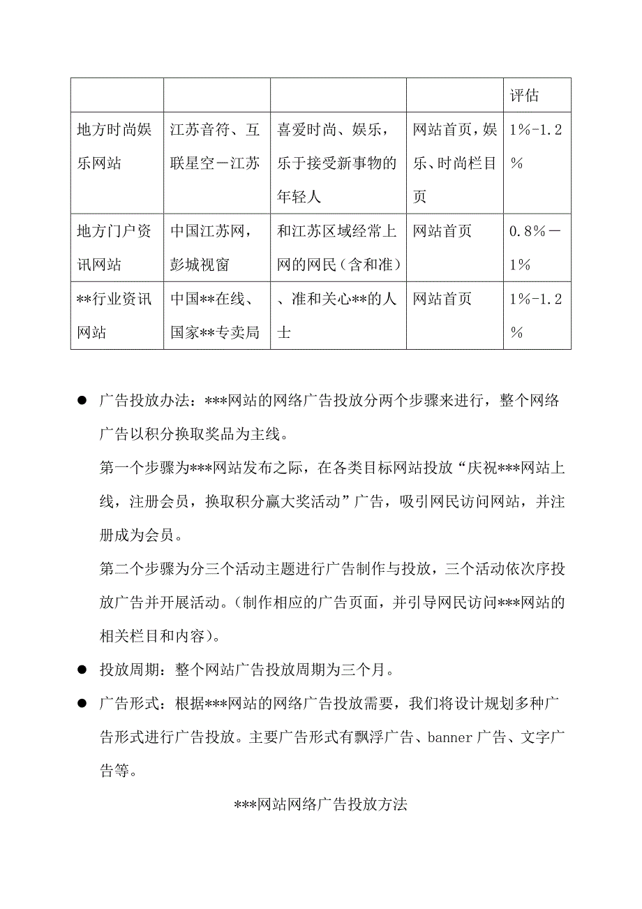 管理信息化网站推广策划方案_第3页