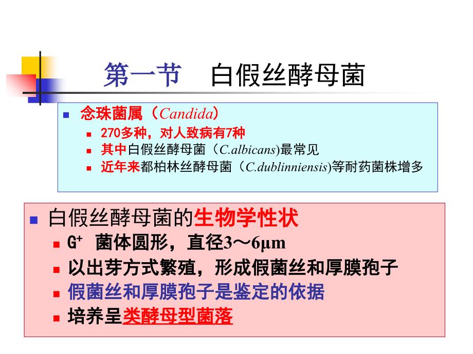 第46章-深部真菌_第4页