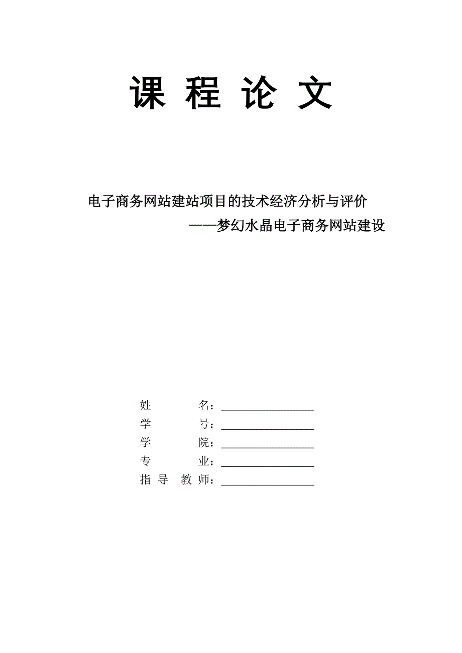 管理信息化电子商务网站建站项目的技术经济分析与评价_第1页