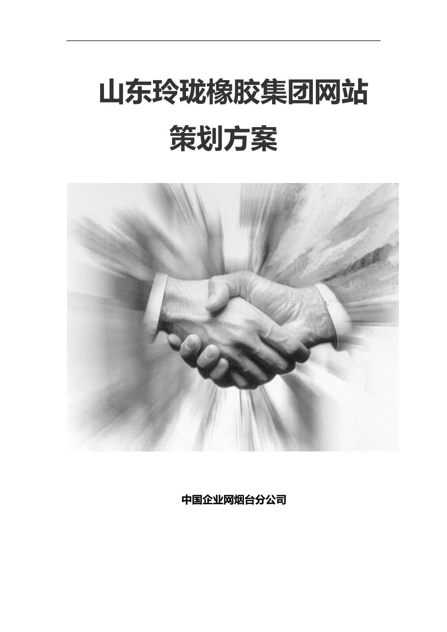 管理信息化某企业网站策划方案书_第1页