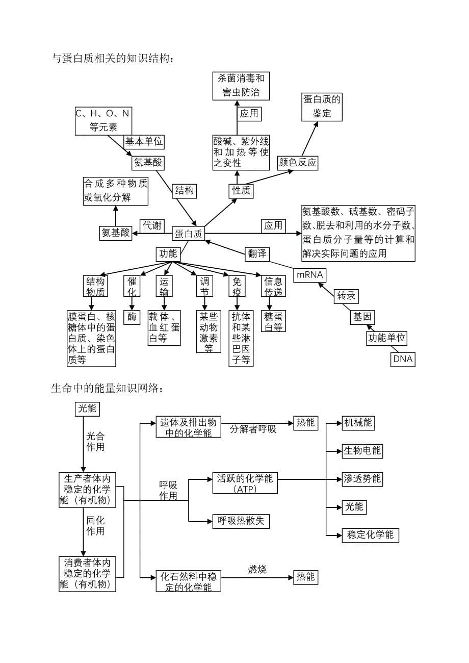 (生物科技)高中生物知识网络结构分析_第5页