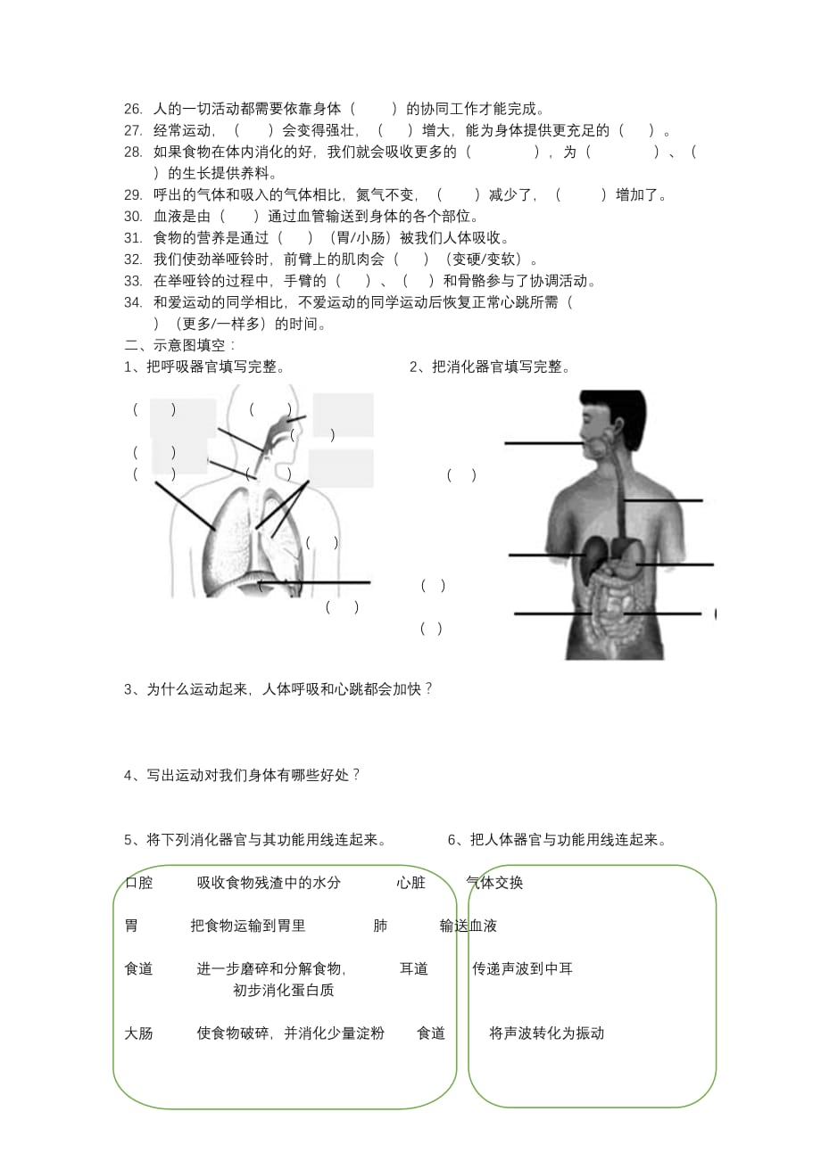 四年级上科学第四单元复习(练习).doc_第2页