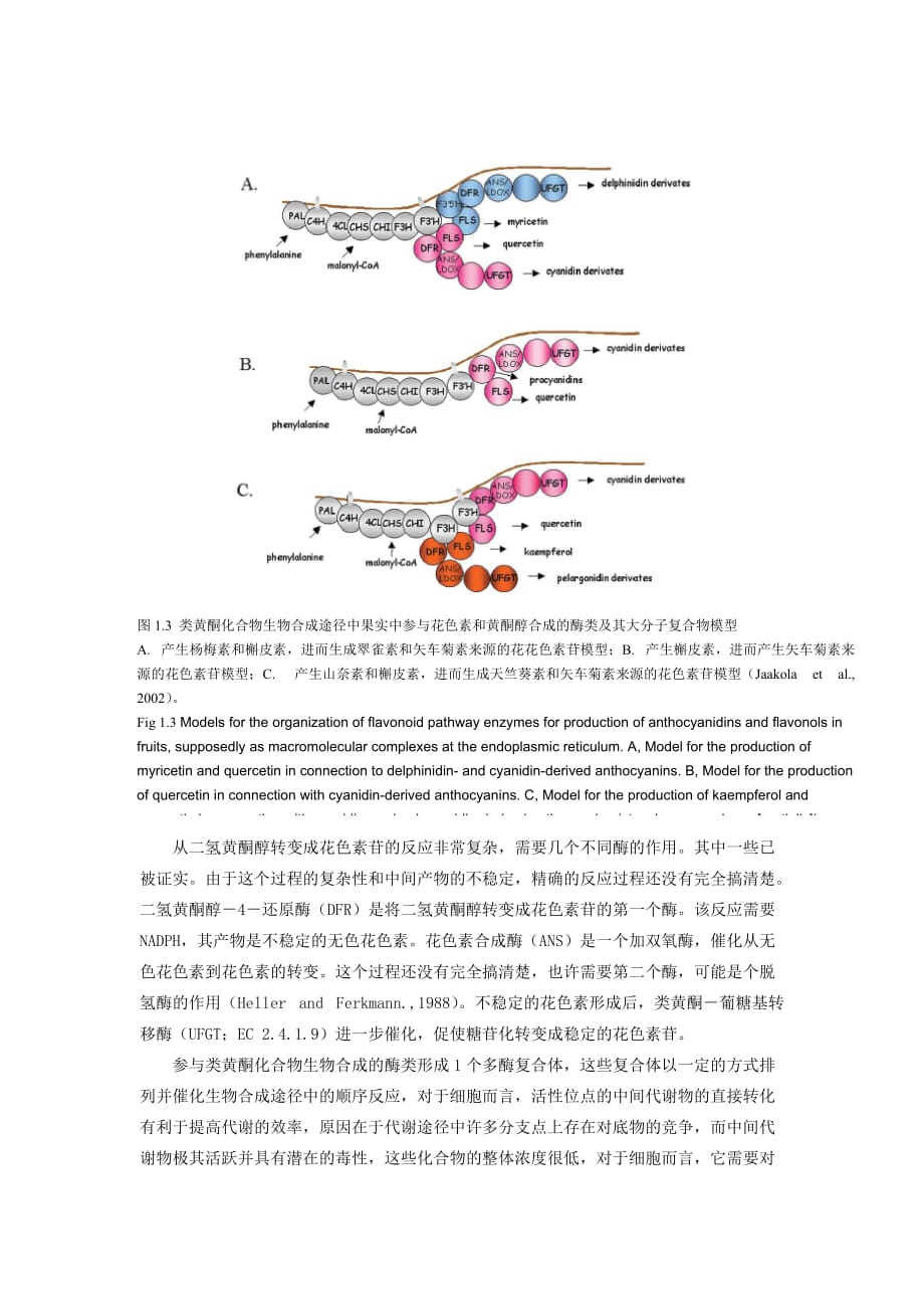 (生物科技)花色素苷生物合成相关基因的研究进展_第3页