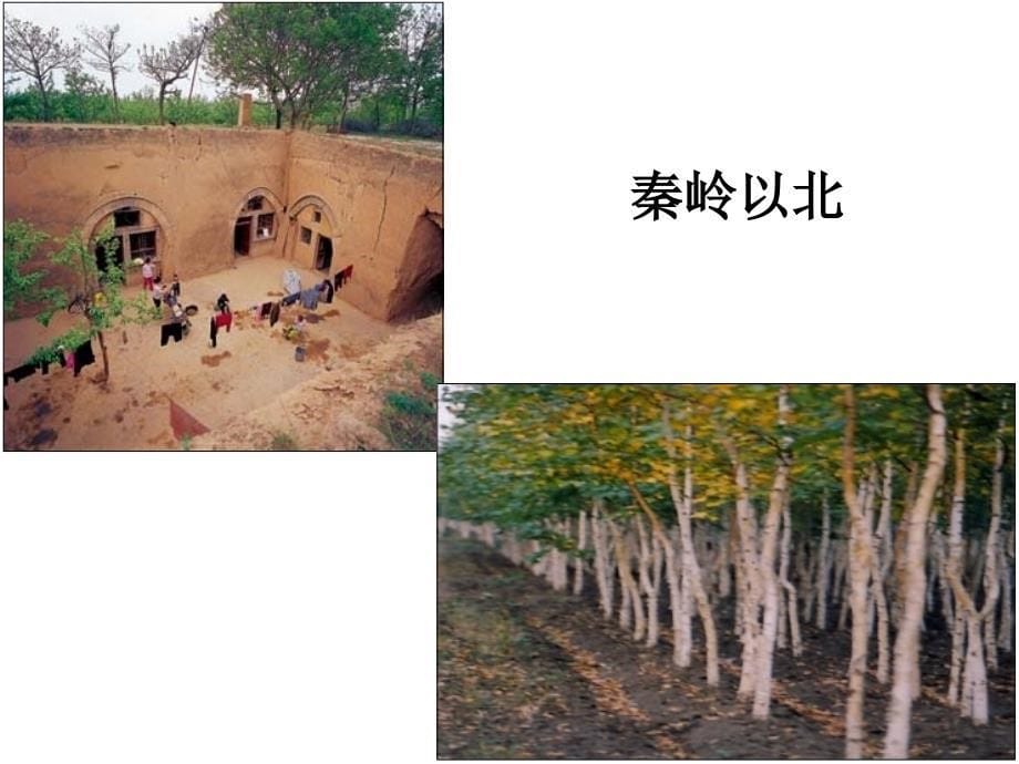 中国四大地理区域的划分.ppt_第5页