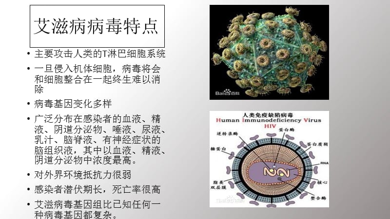 艾滋病特点_第4页