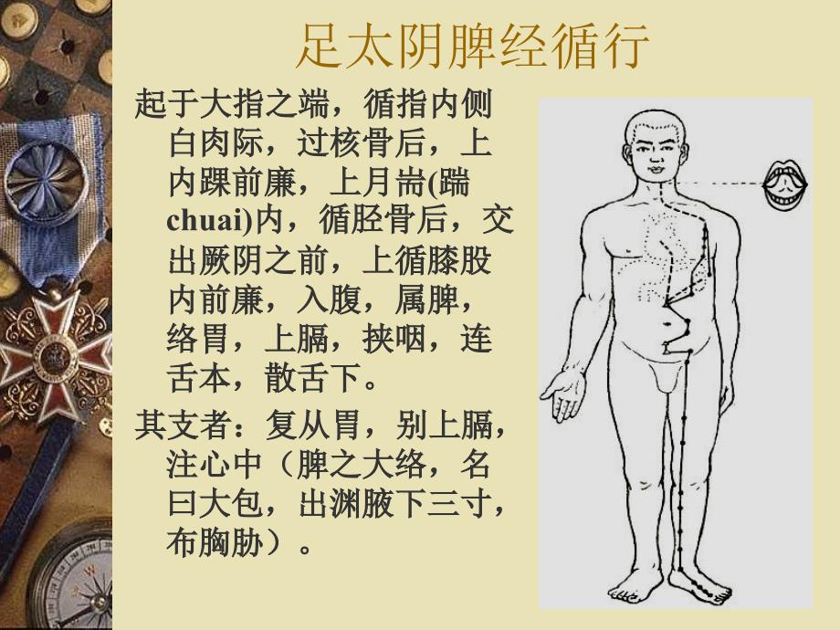 足太阴脾经theSpleenMeridianofFoot-TaiyinSPP研究报告_第2页