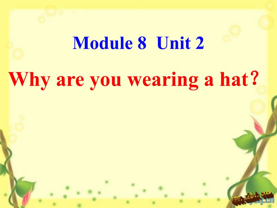 六年级下册M8U2-Why-are-you-wearing-a-hat教案资料_第1页