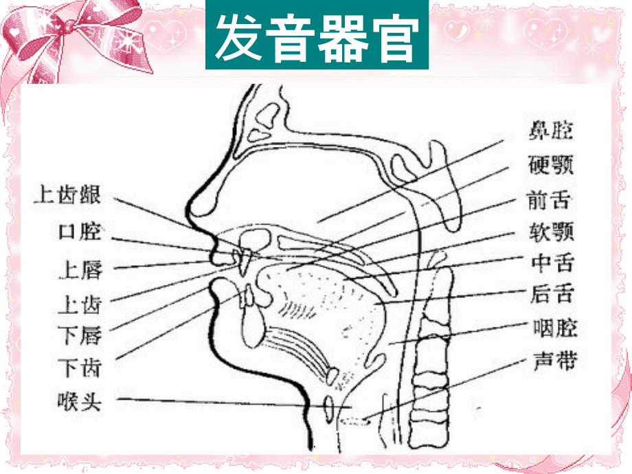 英语音标学习课件(全面版)(共30张PPT)ppt课件_第4页