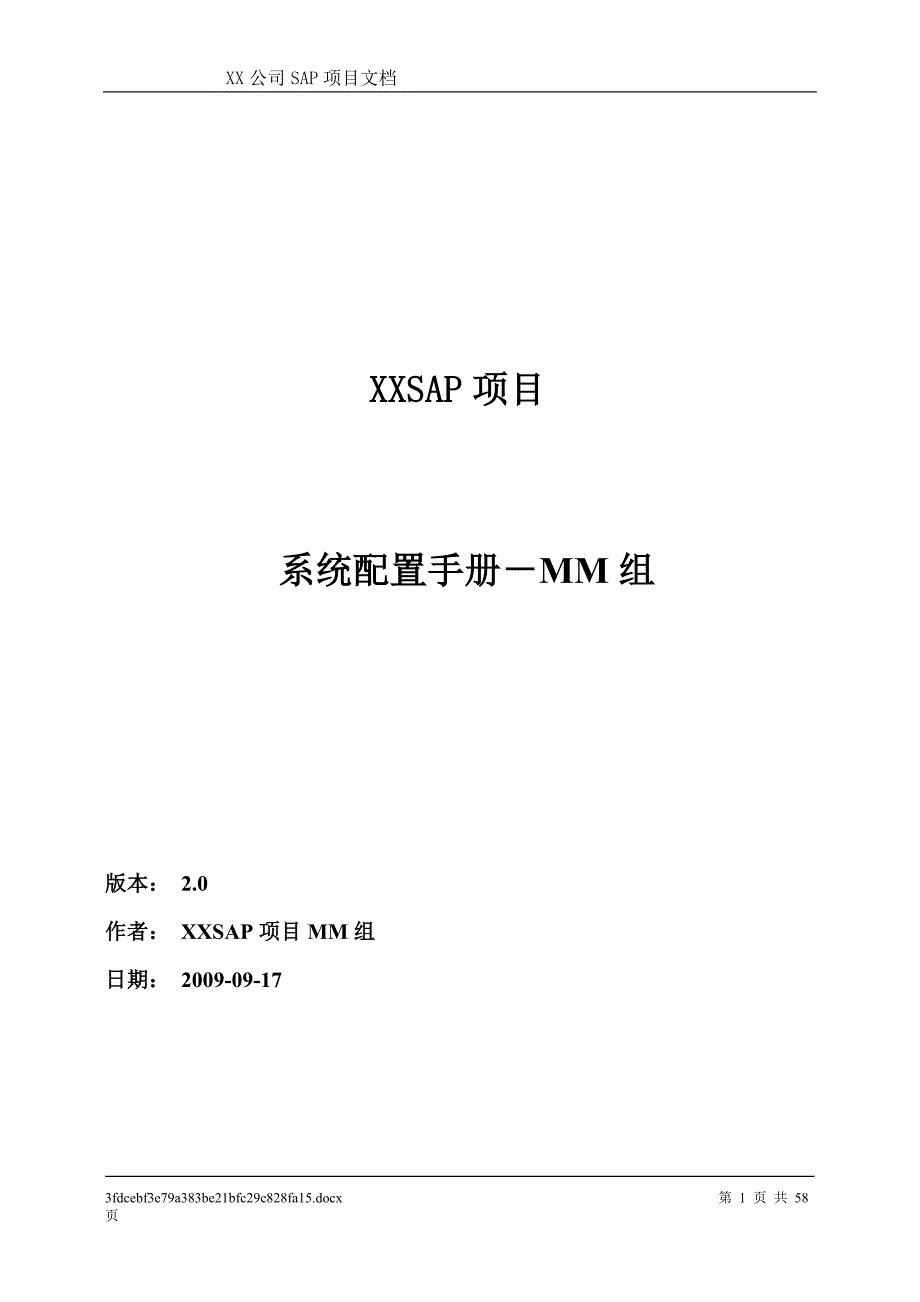 管理信息化项目配置_第1页