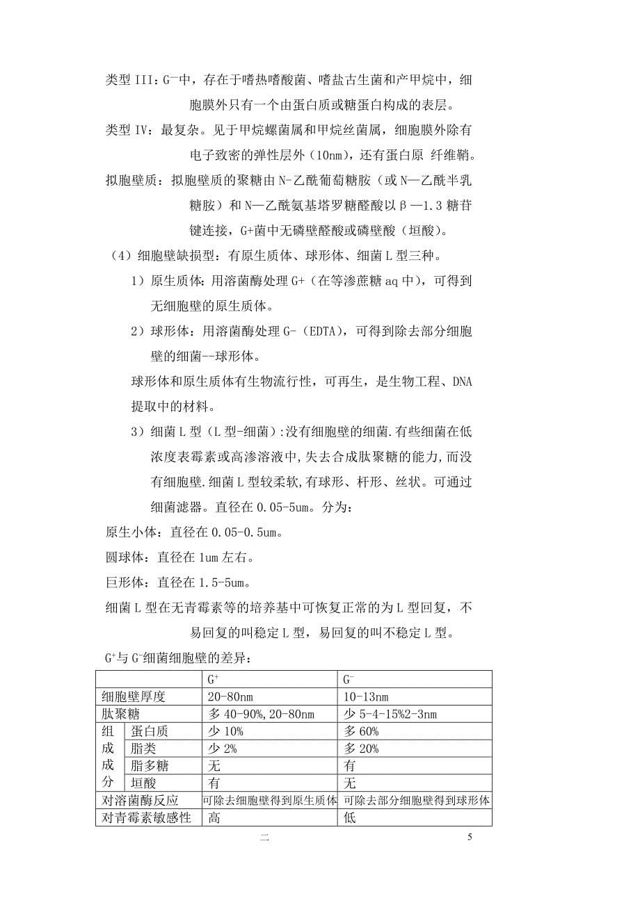 (生物科技)第二章原核微生物_第5页