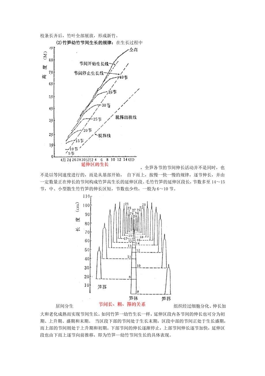 竹子的生长发育[24页]_第5页