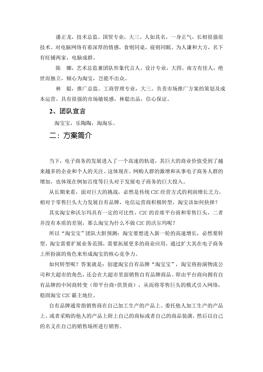 管理信息化淘宝网转型创建自有品牌的可行性分析_第4页