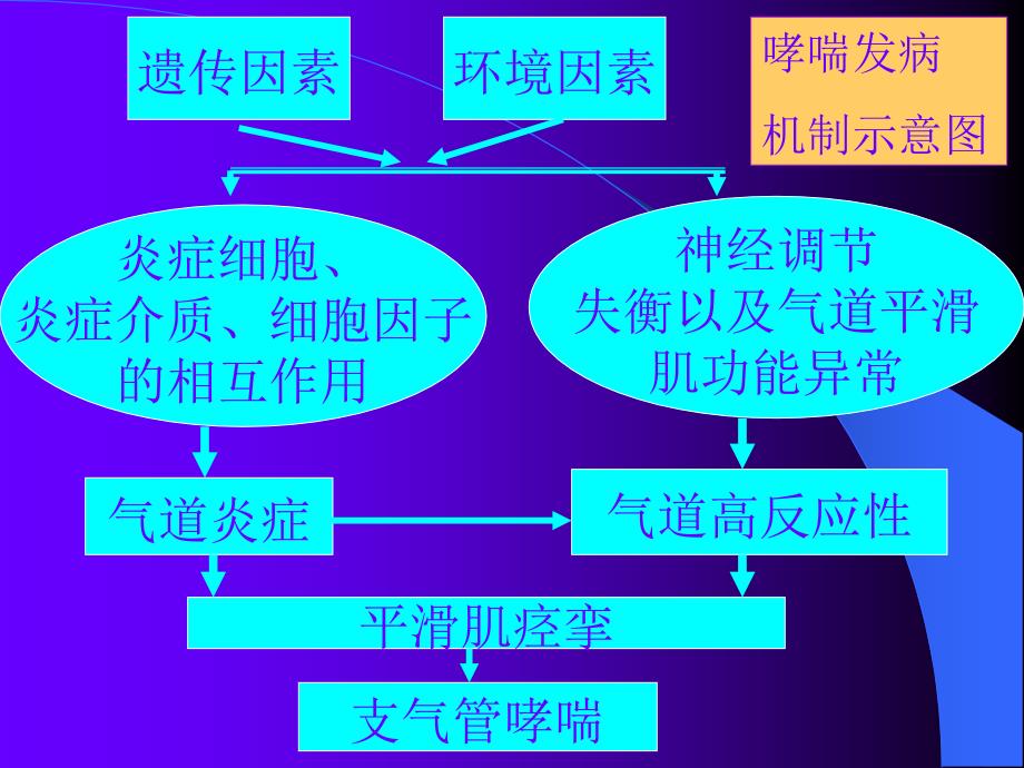 作用于呼吸系统的药物[25页]_第3页