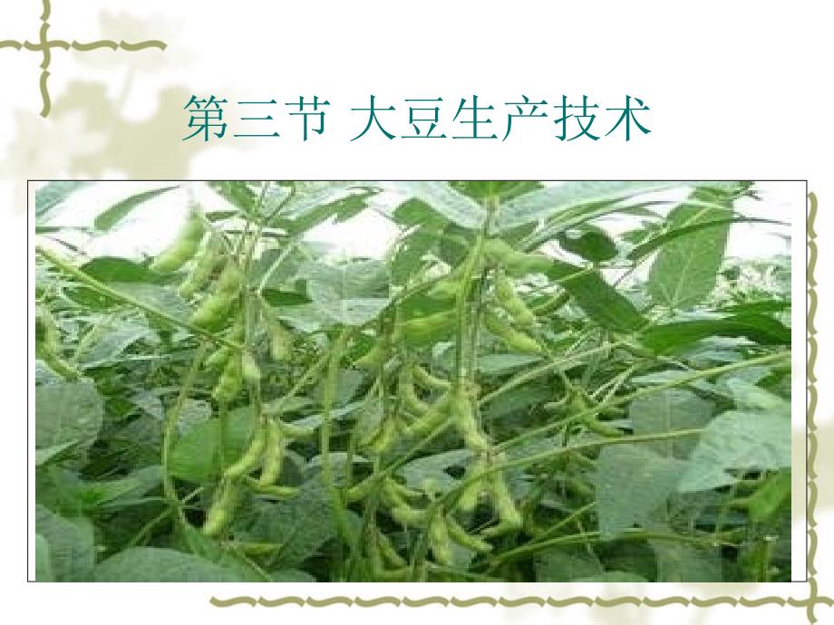 第三节 大豆生产技术_第1页