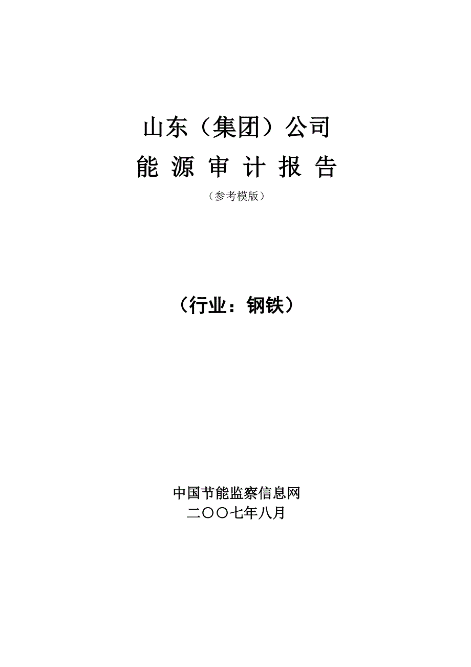 (能源化工)山东钢铁能源审计报告_第1页