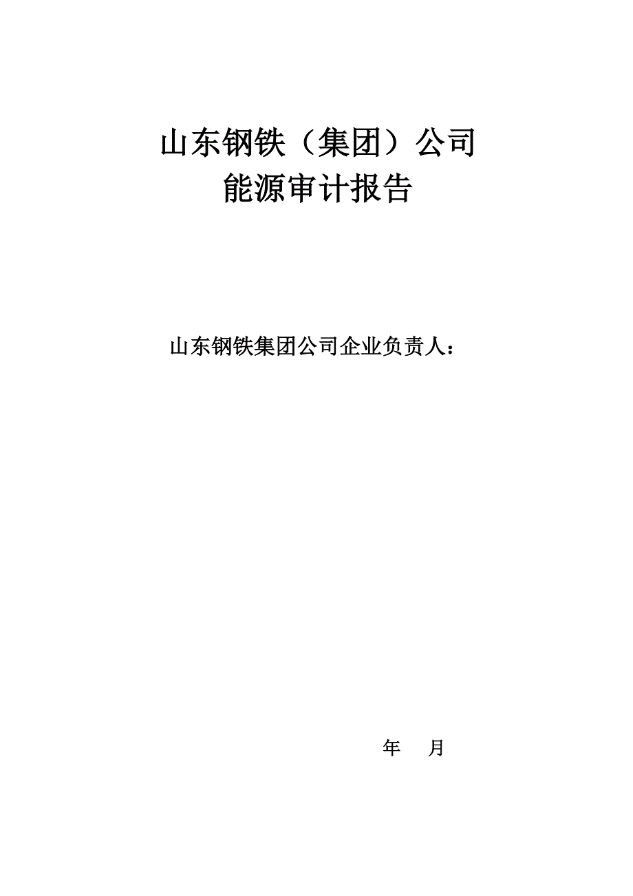 (能源化工)山东钢铁能源审计报告_第3页