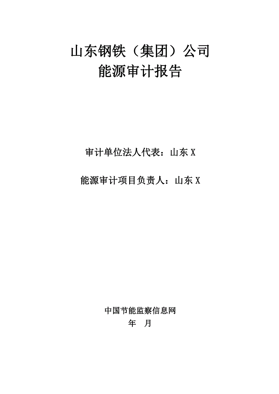 (能源化工)山东钢铁能源审计报告_第4页