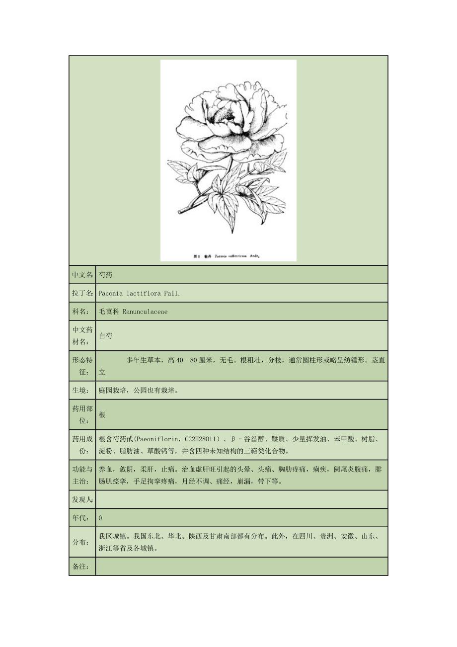 (医疗药品管理)药用植物2_第2页